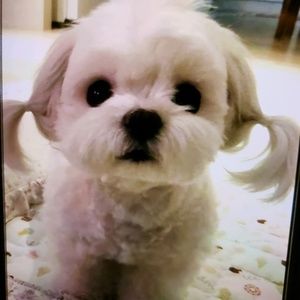 Meet your Posher, Anel